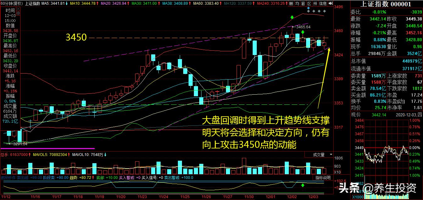 欧洲杯场外新闻直播在哪看:欧洲杯场外新闻直播在哪看啊