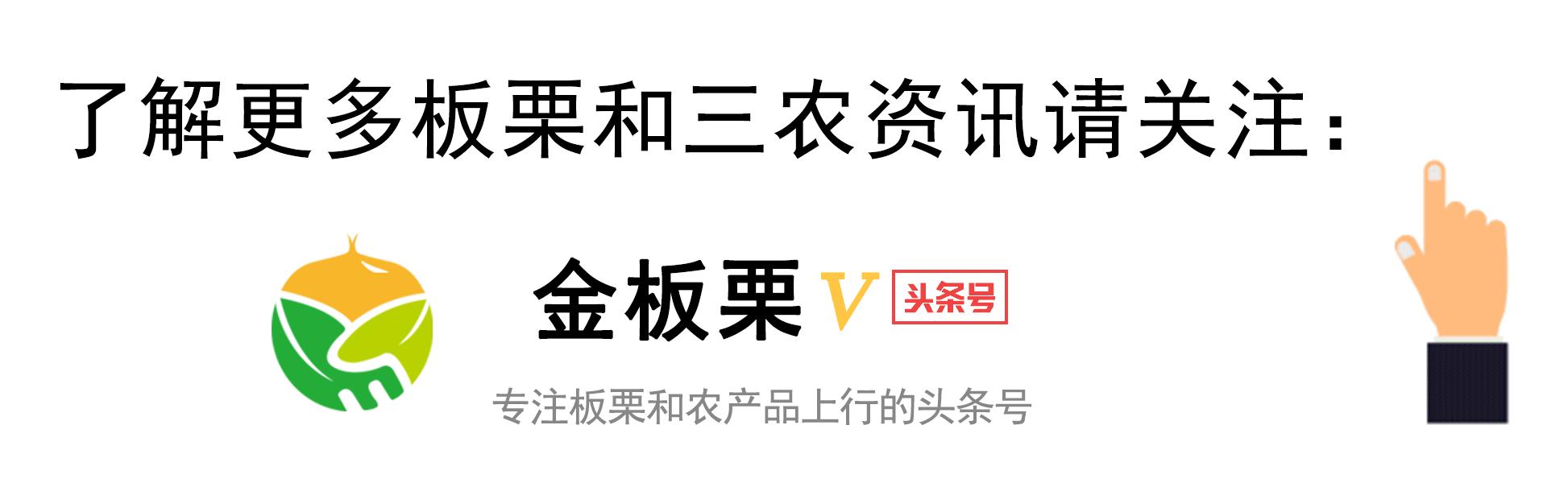 欧洲杯搞笑捡瓶子视频直播:欧洲杯搞笑捡瓶子视频直播回放