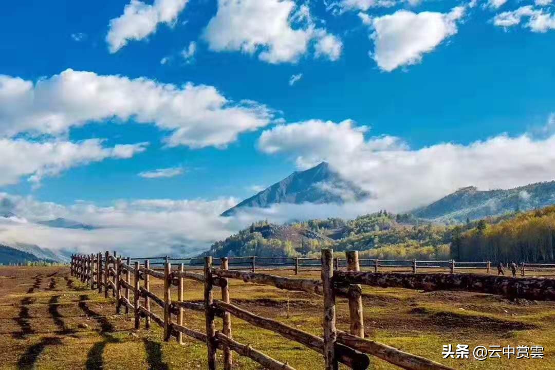 银川欧洲杯决赛直播:银川欧洲杯决赛直播时间