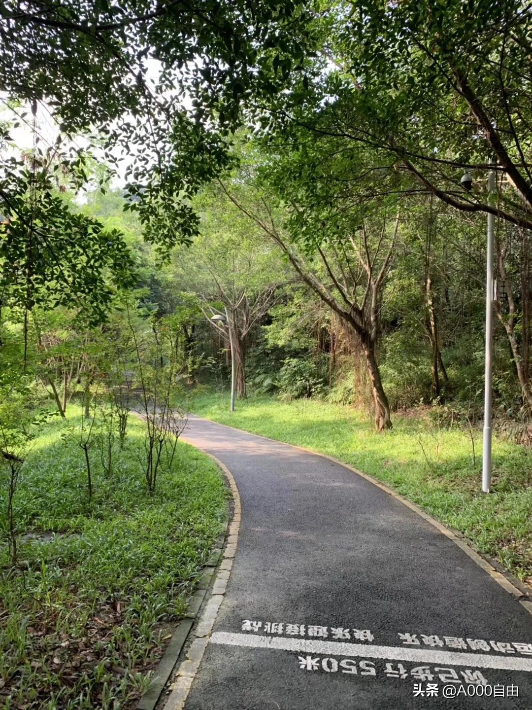 深圳哪里看欧洲杯决赛直播:深圳看欧洲杯的地方