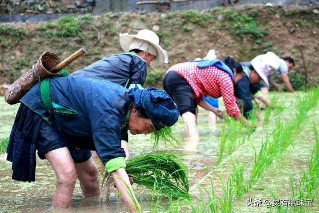 解说帝欧洲杯直播:解说帝欧洲杯直播在哪看