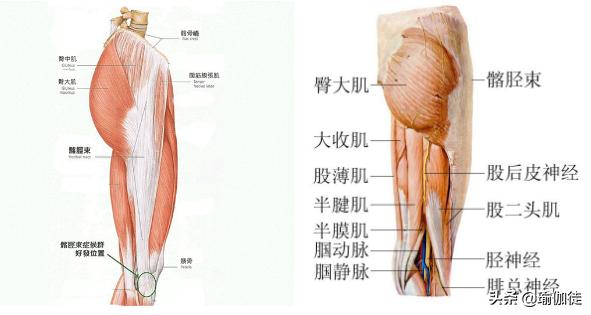 直播欧洲杯怎么瘦腿:直播的欧洲杯