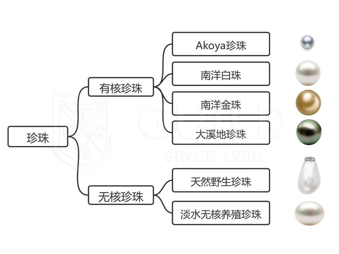 合浦哪里可以看欧洲杯直播:合浦哪里可以看欧洲杯直播的