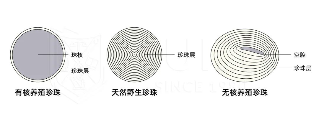 合浦哪里可以看欧洲杯直播:合浦哪里可以看欧洲杯直播的