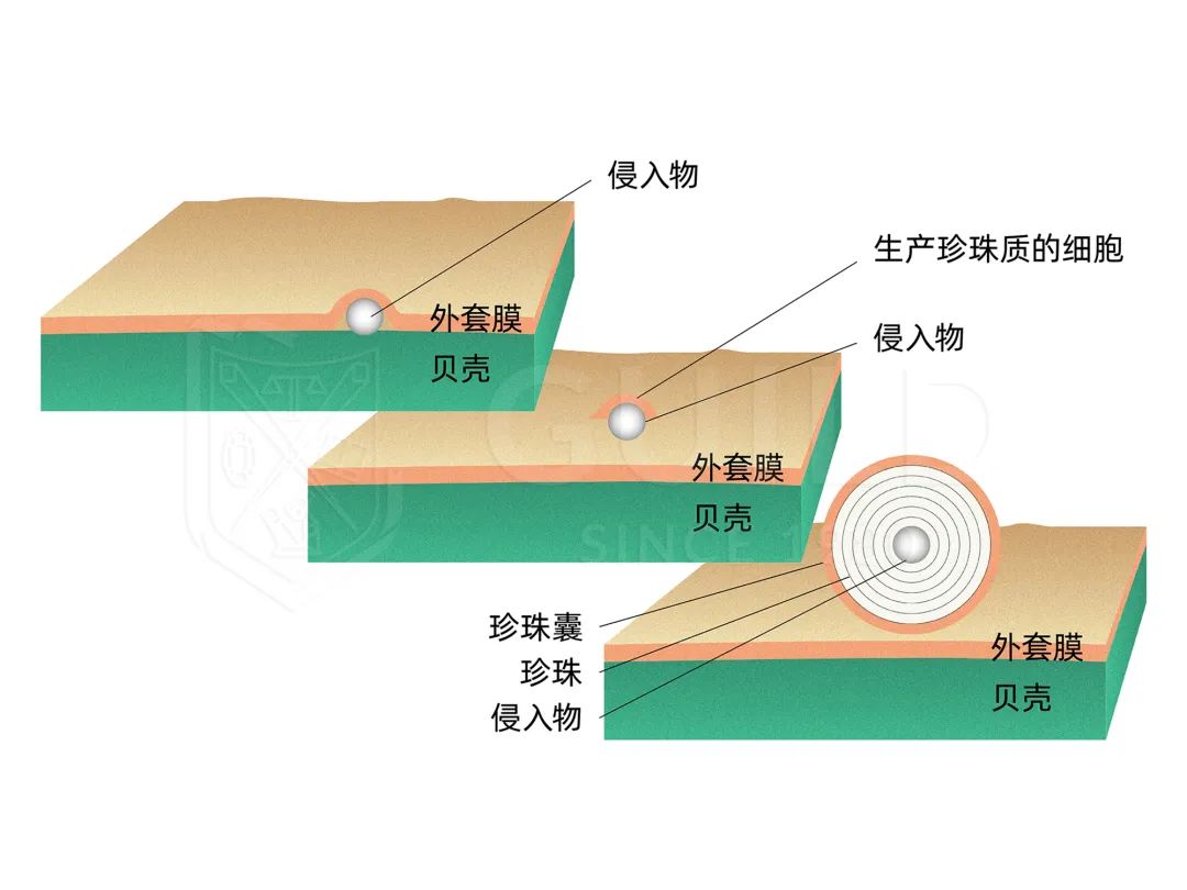 合浦哪里可以看欧洲杯直播:合浦哪里可以看欧洲杯直播的