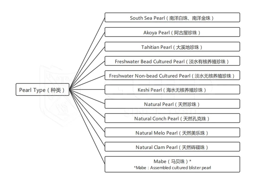 合浦哪里可以看欧洲杯直播:合浦哪里可以看欧洲杯直播的