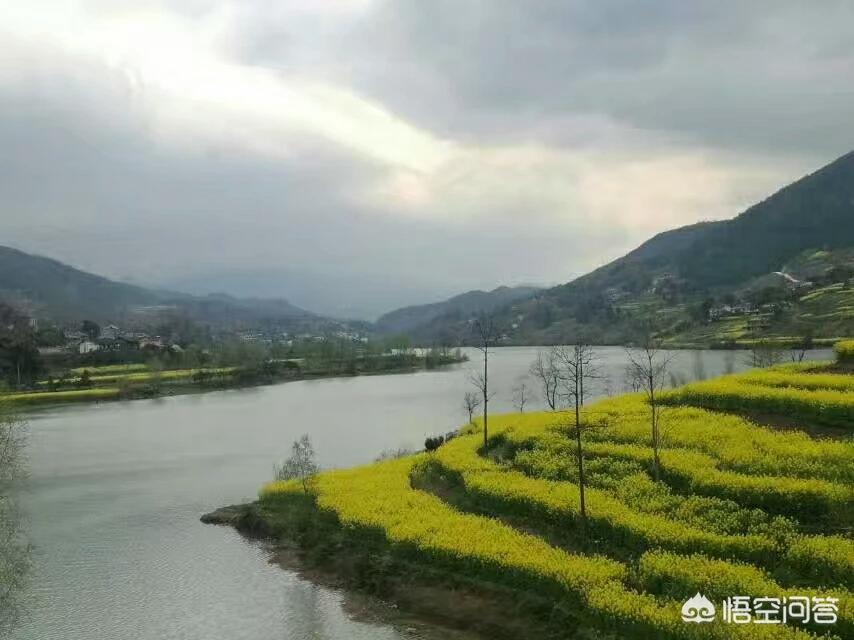 昆明哪能看欧洲杯比赛直播:昆明哪能看欧洲杯比赛直播的地方