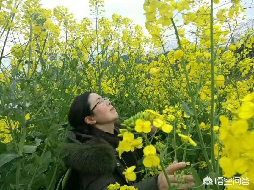 昆明哪能看欧洲杯比赛直播:昆明哪能看欧洲杯比赛直播的地方