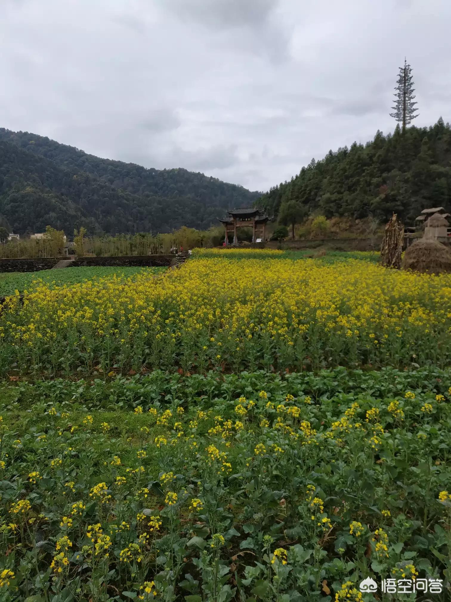 昆明哪能看欧洲杯比赛直播:昆明哪能看欧洲杯比赛直播的地方