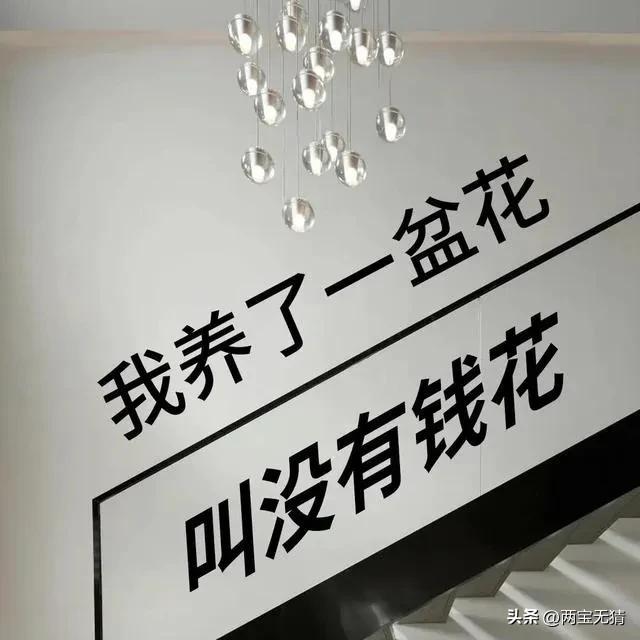 辣条解说欧洲杯直播视频:辣条游戏直播