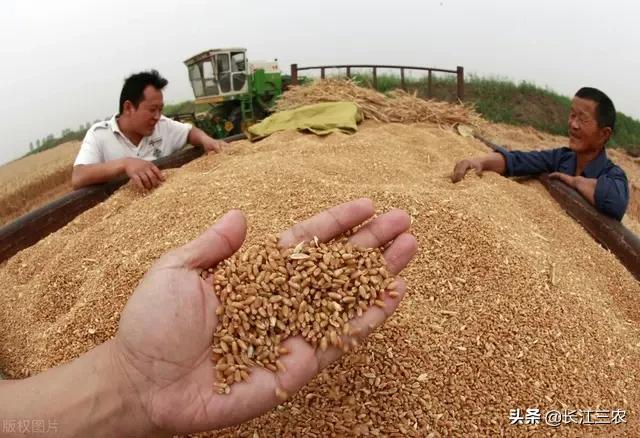 通辽欧洲杯直播:通辽欧洲杯直播在哪看