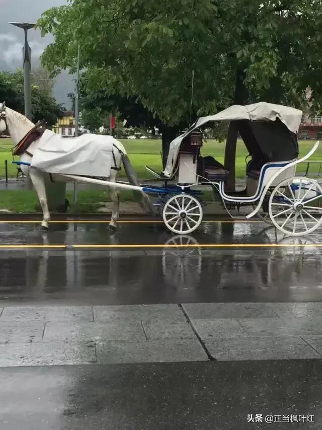 肇庆看欧洲杯直播的地方:肇庆看欧洲杯直播的地方有哪些