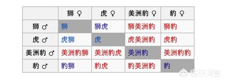 黑猩猩预测欧洲杯视频直播:黑猩猩预测欧洲杯视频直播在线观看