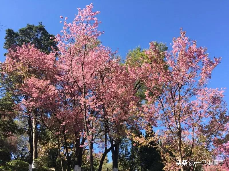 临汾哪里能看欧洲杯直播:在哪里能看临汾一台