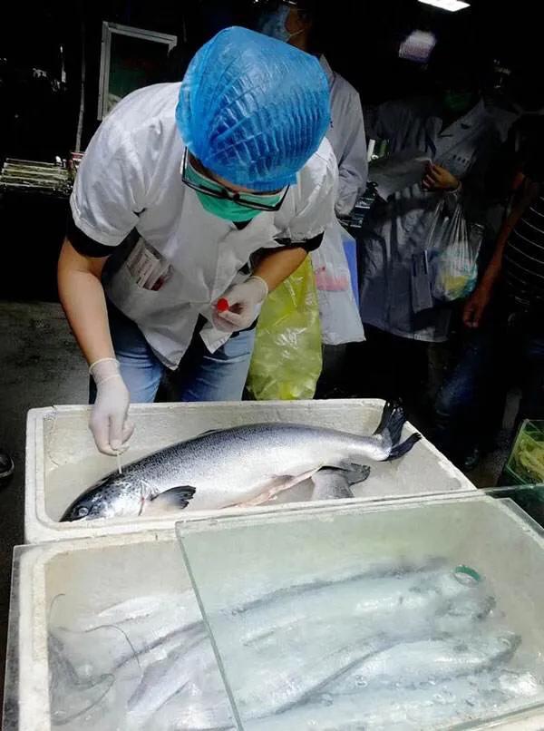 重庆欧洲杯大屏幕直播视频:重庆欧洲杯大屏幕直播视频回放