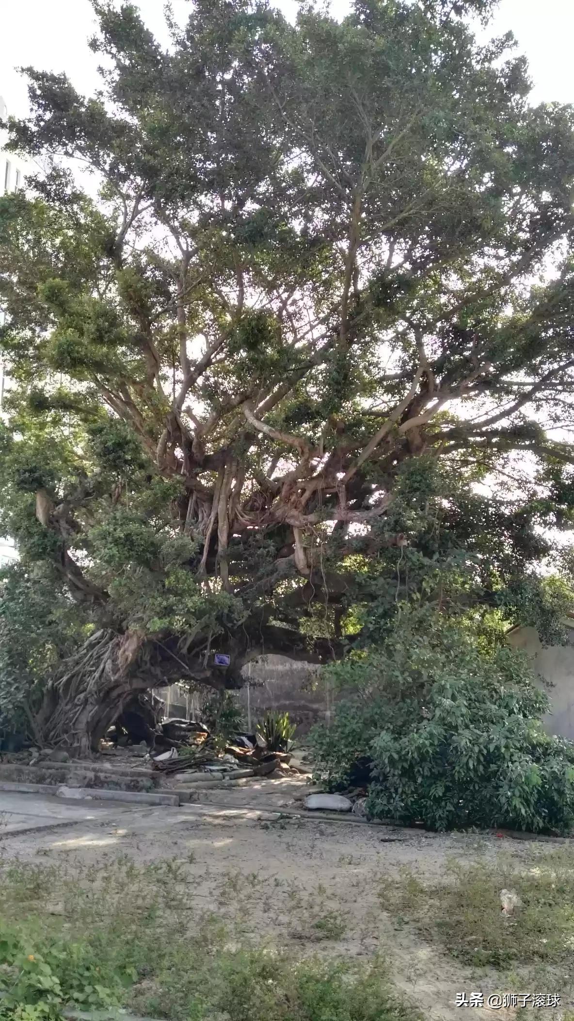 惠州欧洲杯直播平台有哪些:惠州欧洲杯直播平台有哪些公司