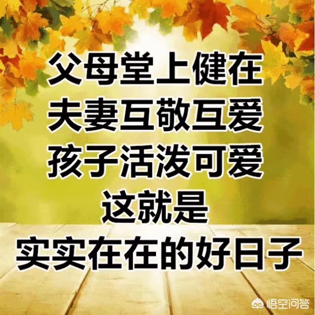 伟哥侃欧洲杯视频直播在线观看:伟哥侃欧洲杯视频直播在线观看免费