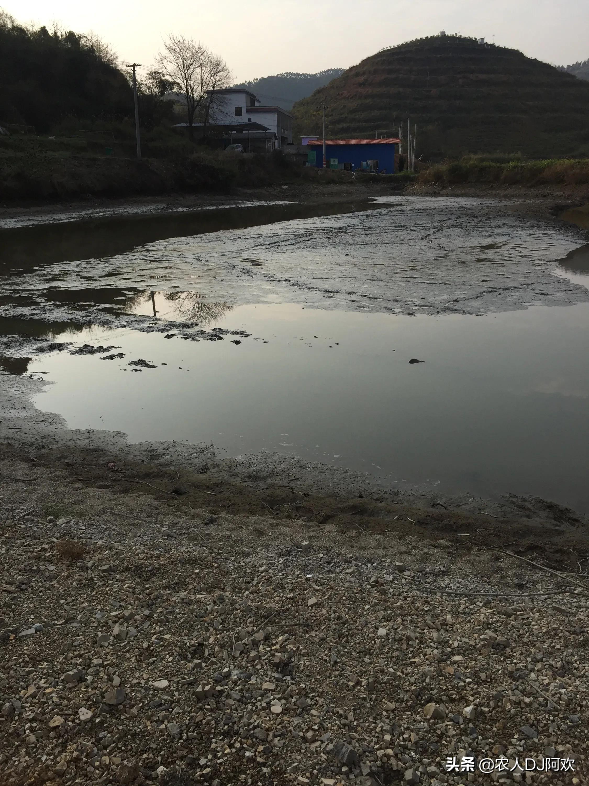 柳州小龙虾欧洲杯直播时间:柳州市小龙虾餐厅