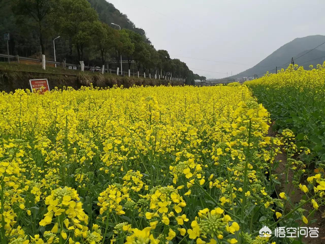 汕头哪里可以看欧洲杯直播:汕头哪里可以看欧洲杯直播的