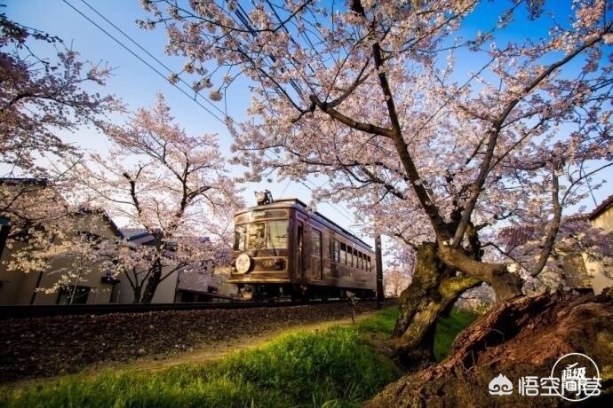 眉山哪里看欧洲杯直播的:眉山哪里看欧洲杯直播的好