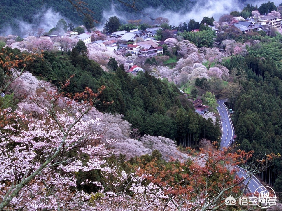 眉山哪里看欧洲杯直播的:眉山哪里看欧洲杯直播的好