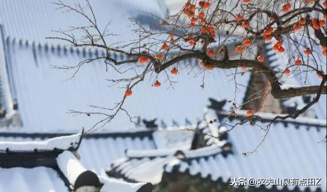 花椒和欧洲杯直播的区别:花椒和欧洲杯直播的区别是什么