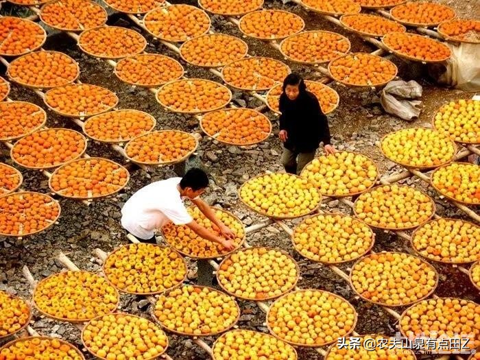 花椒和欧洲杯直播的区别:花椒和欧洲杯直播的区别是什么