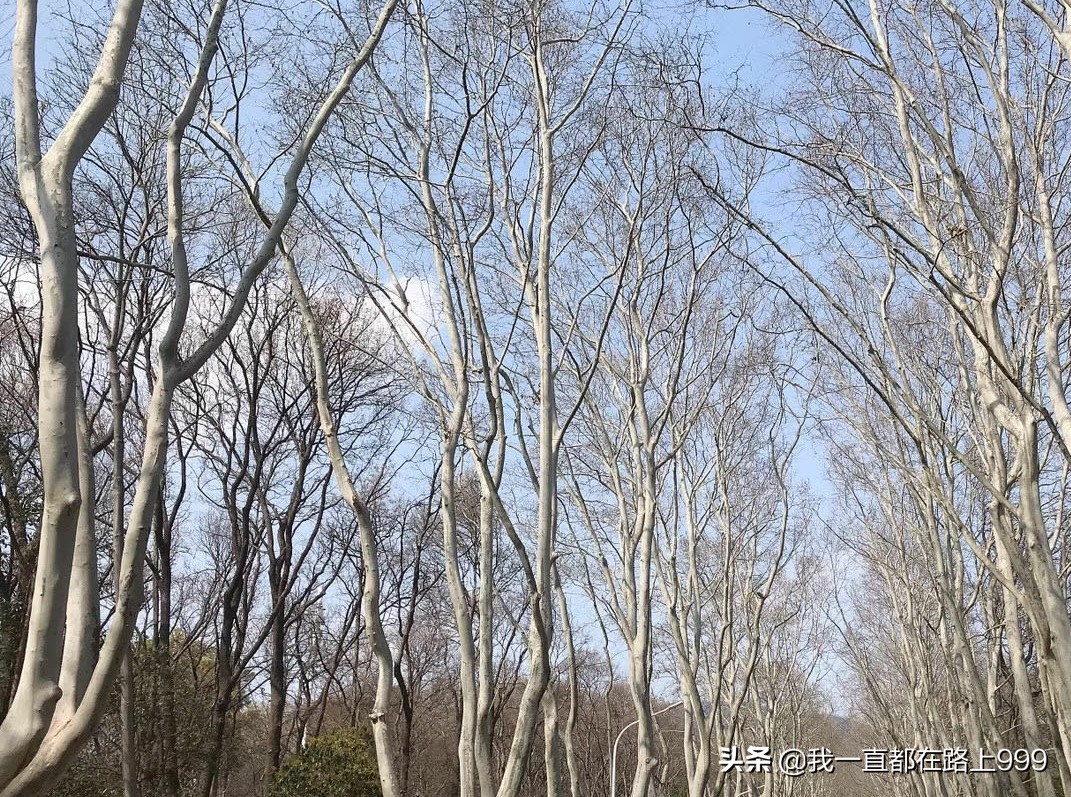 南京欧洲杯在哪看直播的:南京欧洲杯在哪看直播的啊