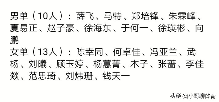 捷克阵容分析:捷克阵容分析最新消息