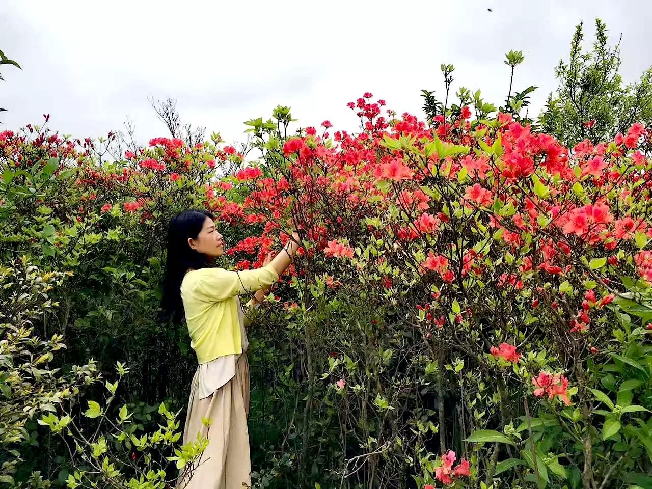 永川欧洲杯直播:永川欧洲杯直播平台