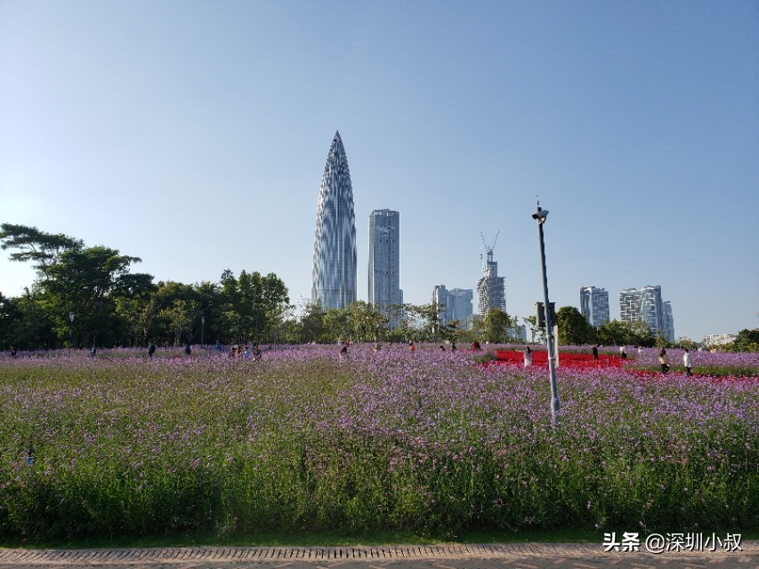 惠州欧洲杯直播时间表:惠州欧洲杯直播时间表最新