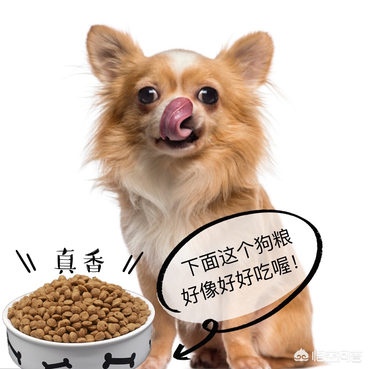 欧洲杯直播沙皮:欧洲杯直播 解说